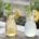 Engel Buch - homemade Lemonade